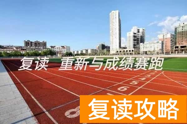 手机号码在高考报名有什么用？（手机号码在整个高考期间的重要性）