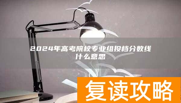 2024年高考院校专业组投档分数线什么意思