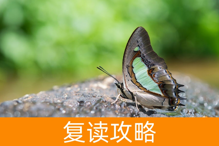 复读：一场破茧成蝶的逆袭征途，背后的真相令人动容